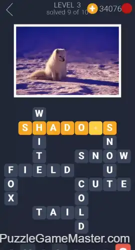 Crosswords For You Level 3-10 Answers