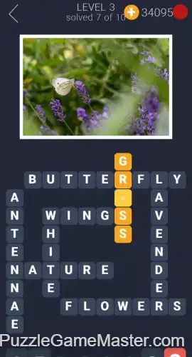 Crosswords For You Level 3-8 Answers