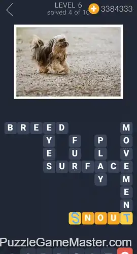 Crosswords For You Level 6-5 Answers