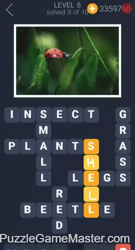 Crosswords For You Level 8-10 Answers