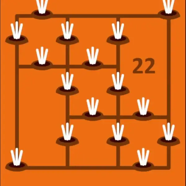 Orange Level 22 Solution
