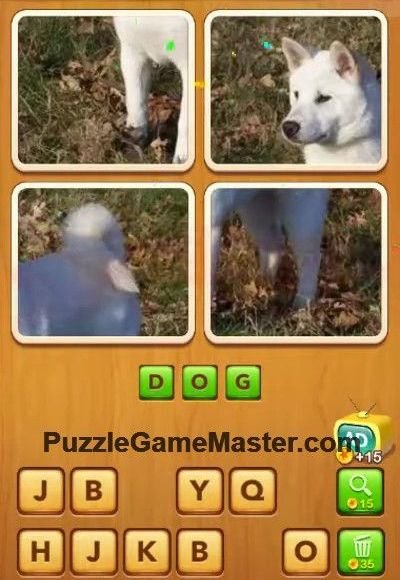 Answer of level 20 4 Pics Guess Word