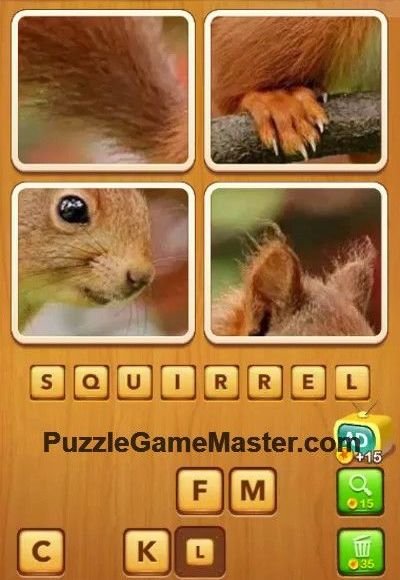 Answer of level 240 4 Pics Guess Word
