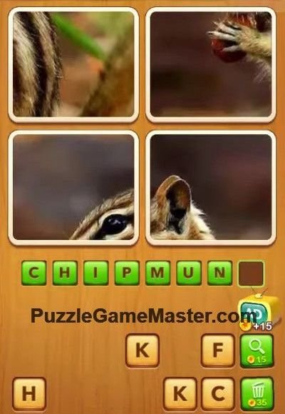 Answer of level 800 4 Pics Guess Word
