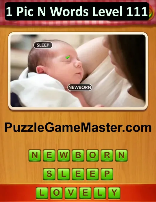 1 Pic N Words Level 111