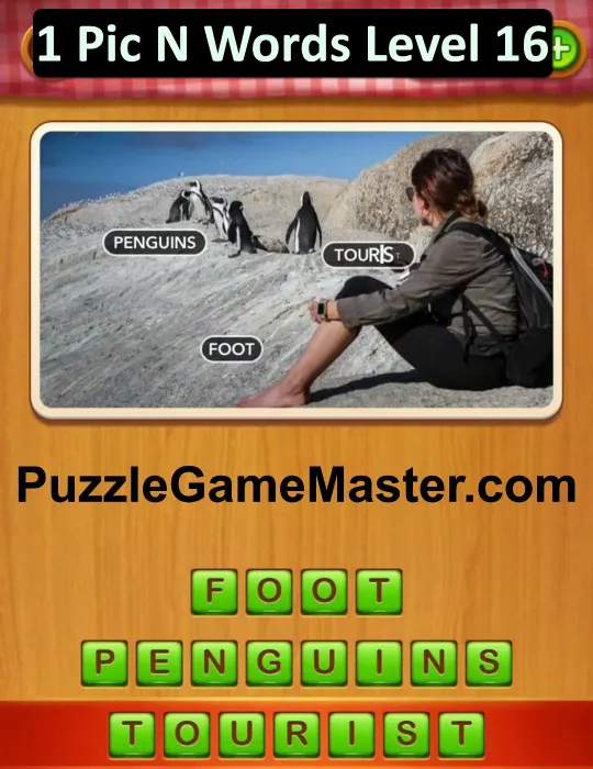 1 Pic N Words Level 16