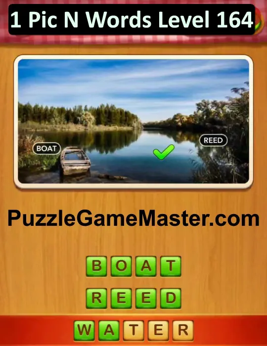1 Pic N Words Level 164