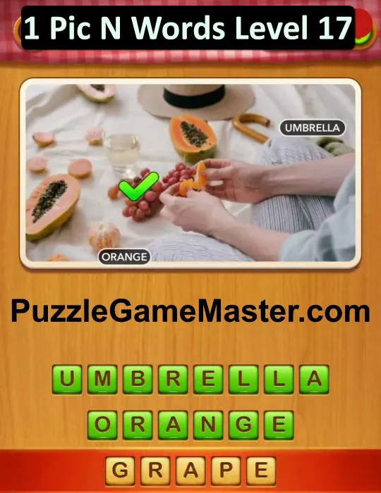 1 Pic N Words Level 17