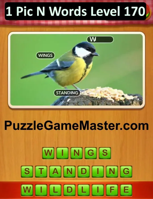 1 Pic N Words Level 170