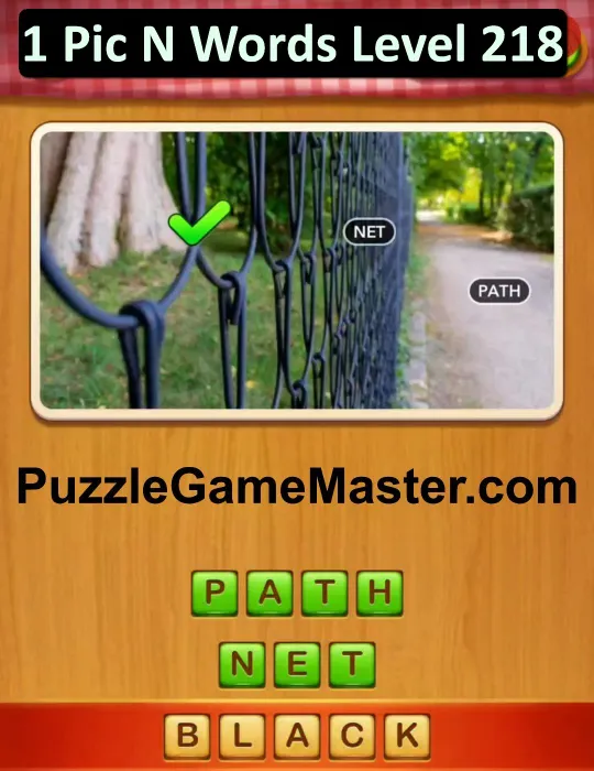 1 Pic N Words Level 218