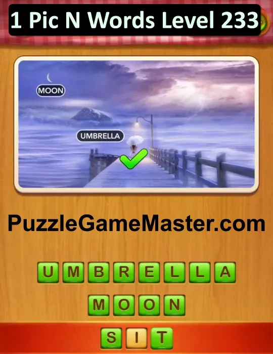 1 Pic N Words Level 233