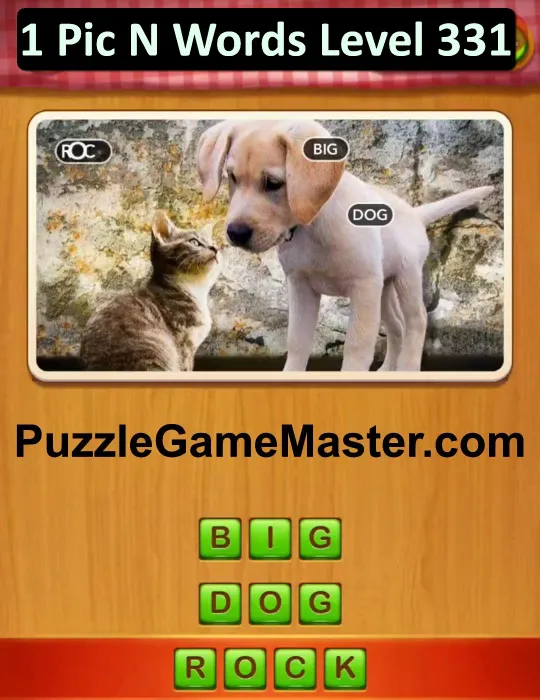 1 Pic N Words Level 331