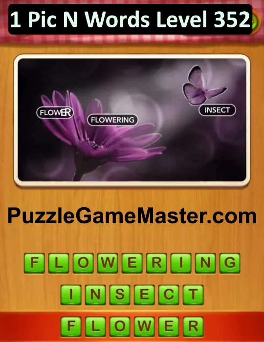 1 Pic N Words Level 352