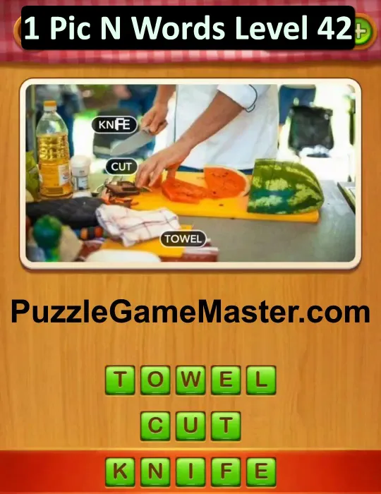 1 Pic N Words Level 42