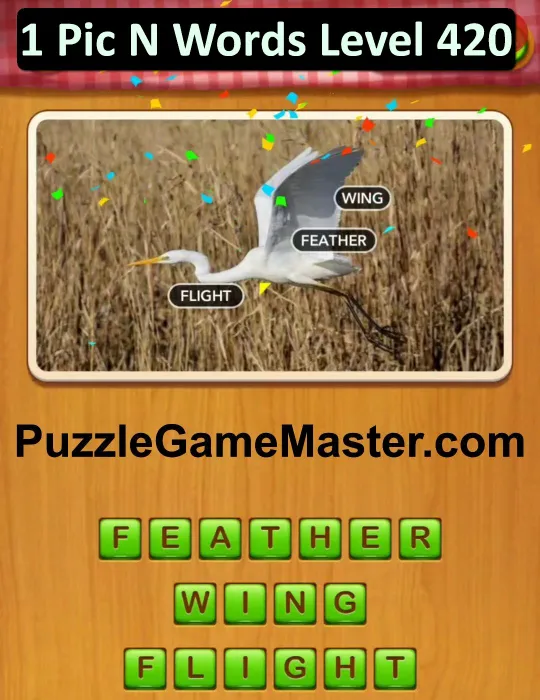 1 Pic N Words Level 420