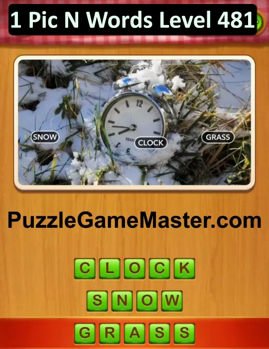 1 Pic N Words Level 481