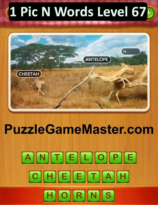 1 Pic N Words Level 67