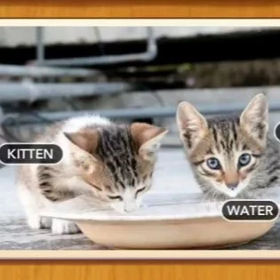 1 Pic N Words Level 1 Answers