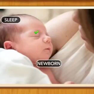 1 Pic N Words Level 111 Answers