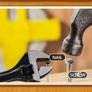 1 Pic N Words Level 113 Answers