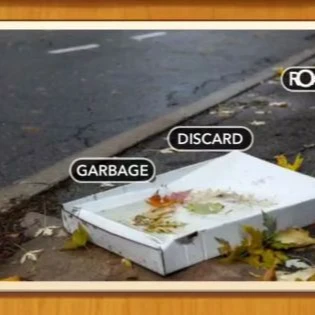 1 Pic N Words Level 116 Answers