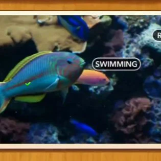 1 Pic N Words Level 119 Answers