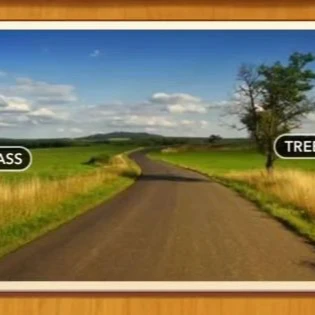 1 Pic N Words Level 121 Answers