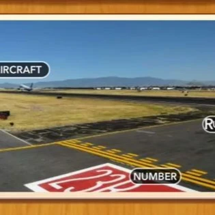 1 Pic N Words Level 133 Answers