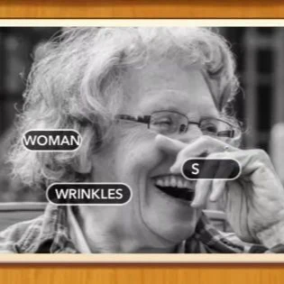 1 Pic N Words Level 135 Answers