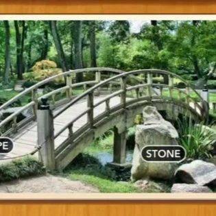 1 Pic N Words Level 139 Answers