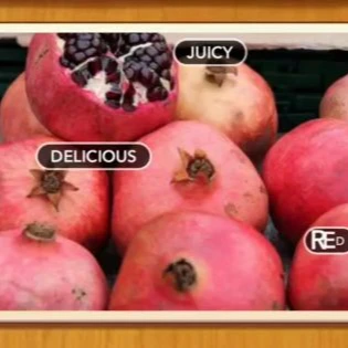 1 Pic N Words Level 140 Answers