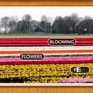 1 Pic N Words Level 150 Answers