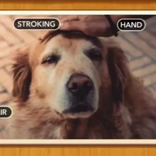 1 Pic N Words Level 151 Answers