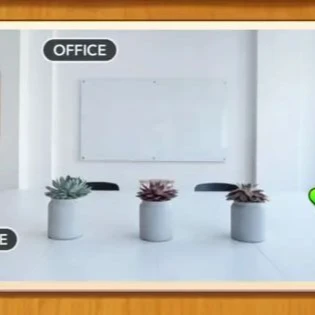 1 Pic N Words Level 156 Answers