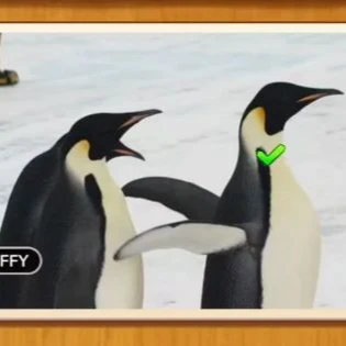 1 Pic N Words Level 171 Answers