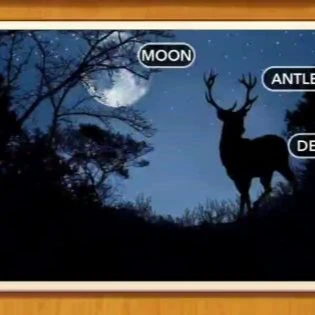 1 Pic N Words Level 180 Answers