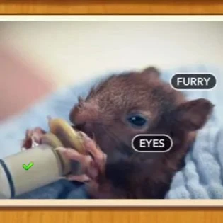 1 Pic N Words Level 189 Answers