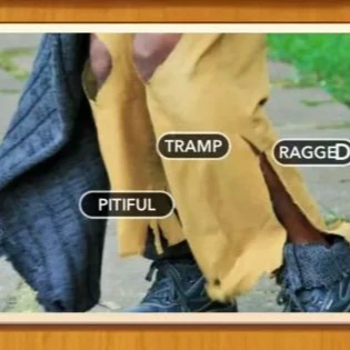 1 Pic N Words Level 197 Answers