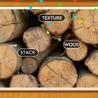 1 Pic N Words Level 198 Answers