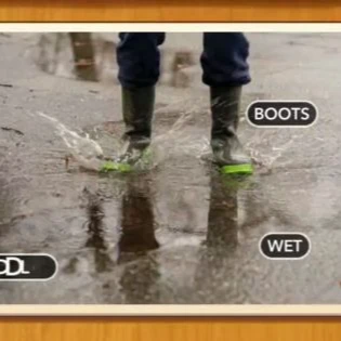 1 Pic N Words Level 204 Answers