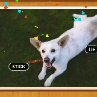 1 Pic N Words Level 209 Answers