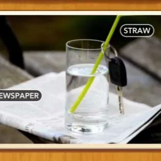 1 Pic N Words Level 214 Answers