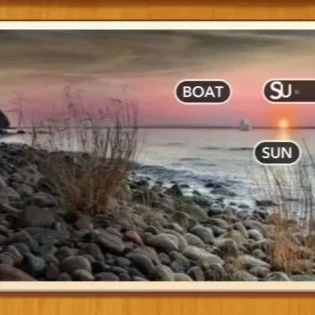 1 Pic N Words Level 217 Answers