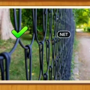 1 Pic N Words Level 218 Answers