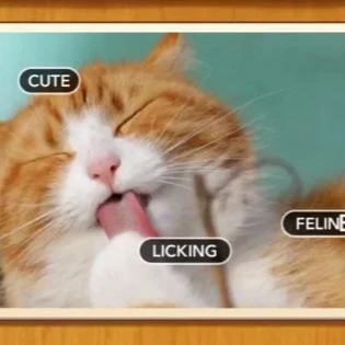 1 Pic N Words Level 220 Answers