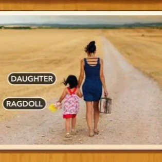 1 Pic N Words Level 225 Answers