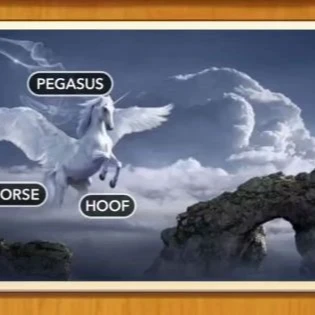 1 Pic N Words Level 229 Answers