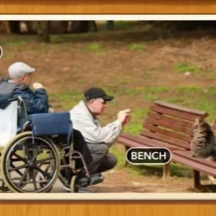 1 Pic N Words Level 238 Answers