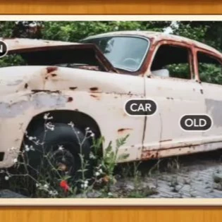 1 Pic N Words Level 250 Answers