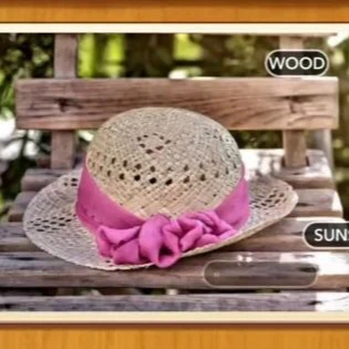 1 Pic N Words Level 258 Answers